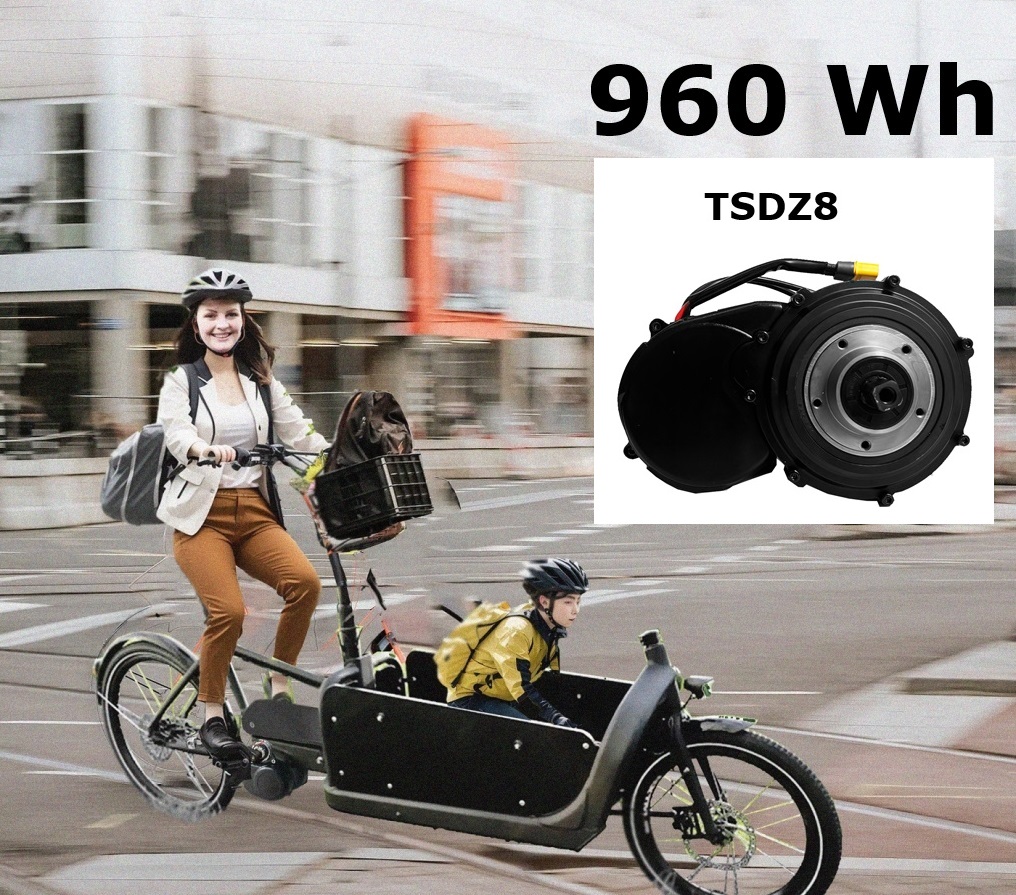 960Wh Motor Kit 48V 250W + Battery 48V Hailong Megiddo 20Ah (Freewheel) 