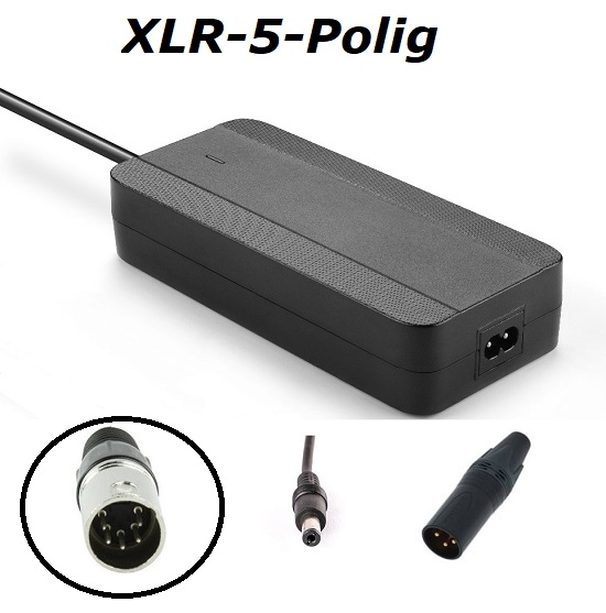 Enerpower Ladegerät 42V 3A für Victoria XLR-5