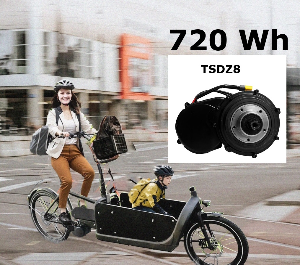 720Wh Motor Kit 48V 250W + Battery 48V Hailong Jericho 15Ah (Freewheel)