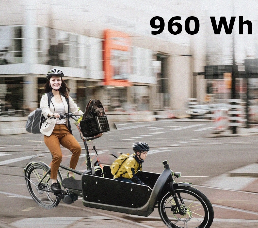 Bakfiets.nl: 960Wh Kit 48V Tongsheng 250W Mittelmotor Freilauf + Akku Hailong Megiddo 20Ah 6-Pins