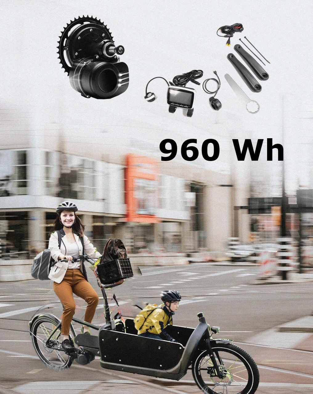 Bakfiets.nl: 960Wh Kit 48V Tongsheng 250W Mittelmotor Freilauf + Akku Hailong Megiddo 20Ah 8-Pins