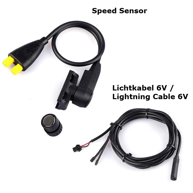 Tongsheng Motor-Kit 250W + Akku 48V Hailong Plus 17,25Ah (830Wh)