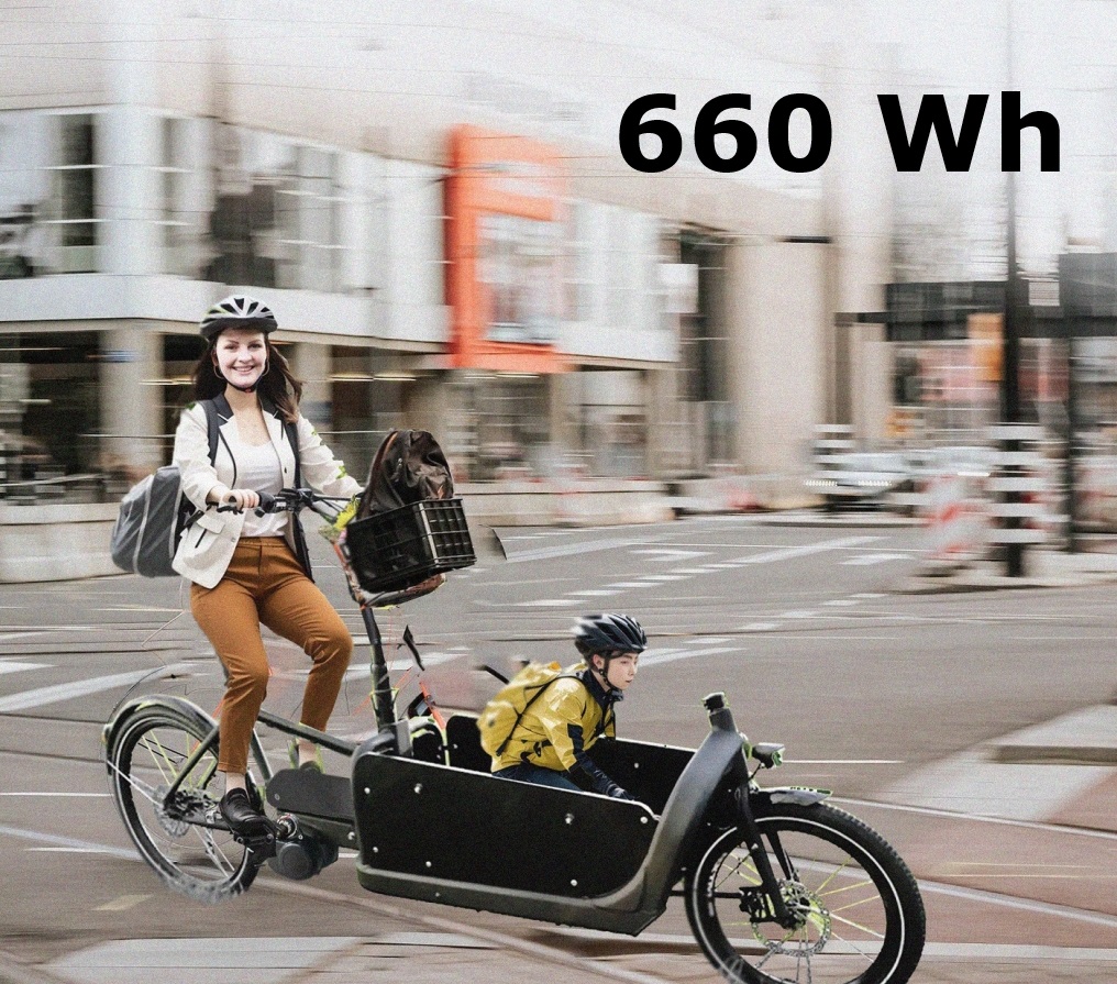 Bakfiets.nl: 660Wh Kit Tongsheng Motor-Kit 250W + Akku Hailong Pro 48V 13,8Ah Freilauf (6 Pins)