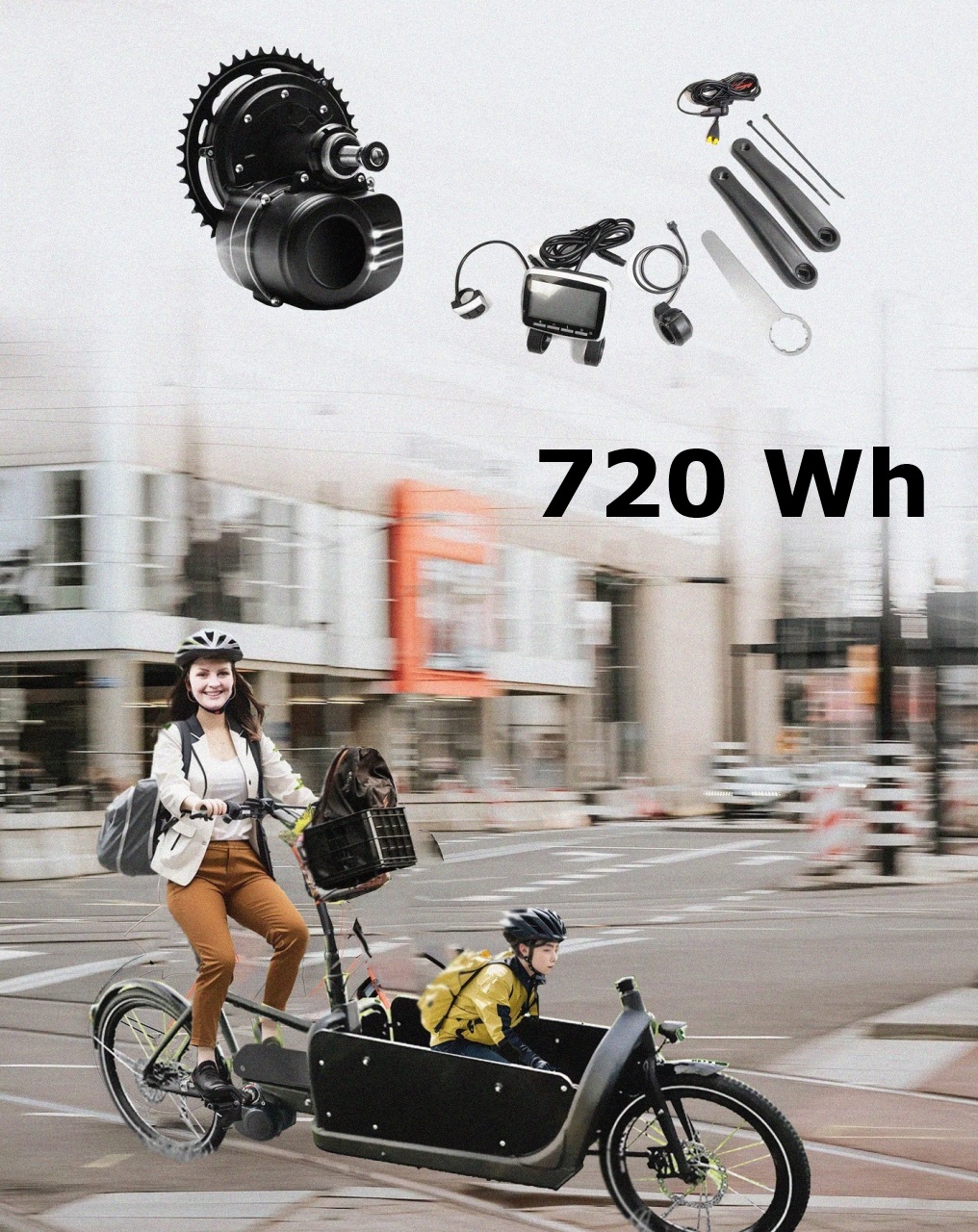 Bakfiets.nl: Tongsheng 48V 250W Mittelmotor Freilauf  + Hailong Jericho 15Ah (720Wh) 8-Pins 