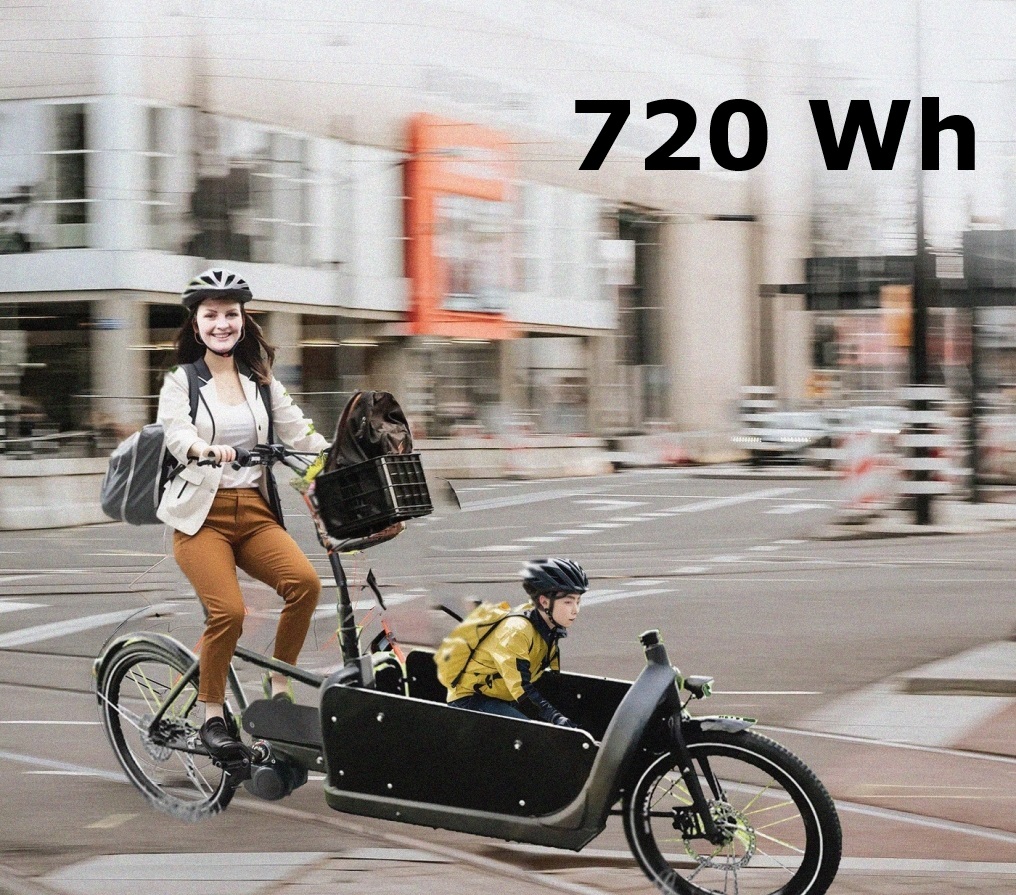 Bakfiets.nl: Tongsheng 48V 250W Mittelmotor Freilauf  + Hailong Jericho 15Ah (720Wh) 6-Pins